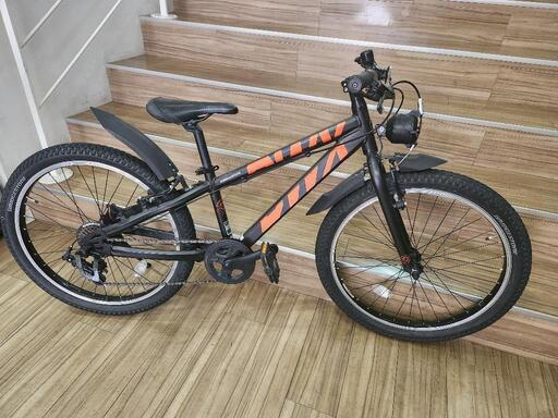 ブリヂストン　BWX ビーダブリューエックス　自転車 ジュニアマウンテンバイク