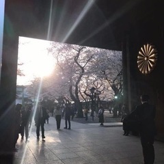 🇯🇵大和ツアー 英霊と共に桜を愛でよう🌸✨