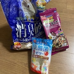 モルモット用品