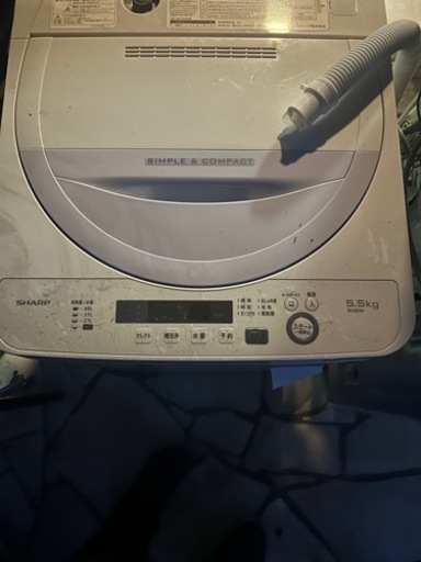 家電 生活家電 洗濯機