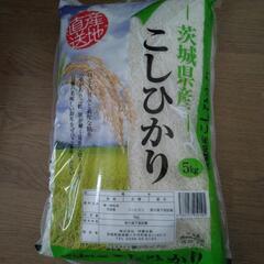 お米　10kg  新品
