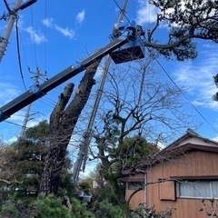 雑草や伐採をお考えの方へ