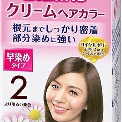 新品未使用　本日限り　ブローネクリームヘアカラー 2 より明るい...