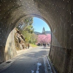 バイクで道の駅やランチ、カフェ行きませんか？