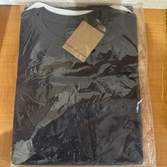 THE NORTH FACE Tシャツ 