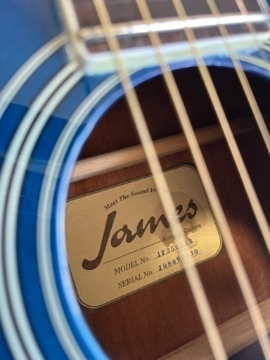 James JF350 アコースティックギター おまけ付き】アコースティックギター James JF350