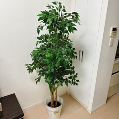 【ネット決済】人工観葉植物 フェイクグリーン生活雑貨 家庭用品 ...