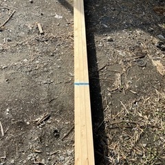 材木 木材 垂木 角材 下地材  4m  30×40