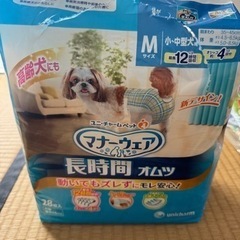 犬 おむつ マナーウェア