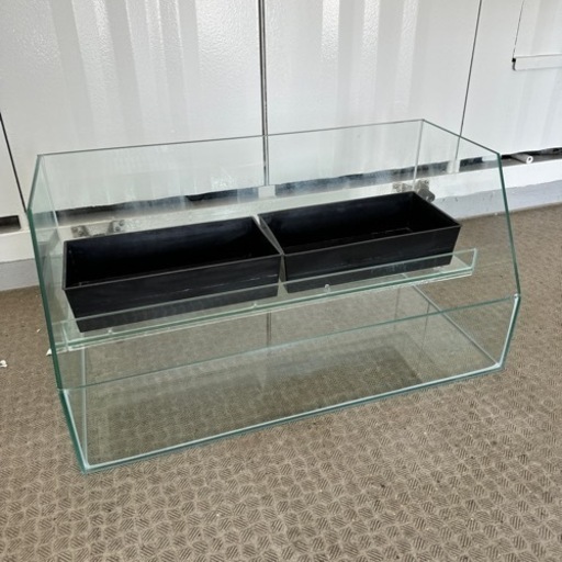 レグラスポニック600