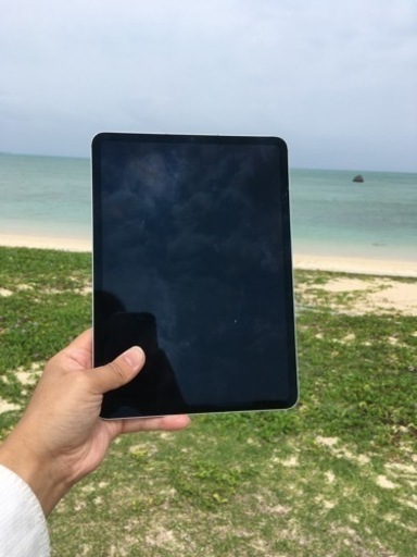 iPad Pro (11インチ)(第3世代) 256GB