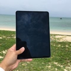 iPad Pro (11インチ)(第3世代) 256GB