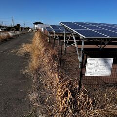 小規模太陽光発電所の草刈り