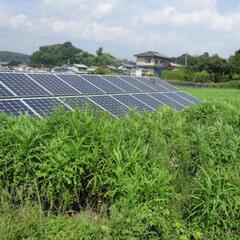🌟太陽光施設の除草承ります🌟
