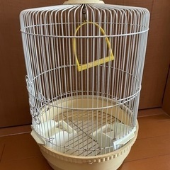 文鳥  セキセイインコ 鳥かご