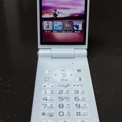 docomo P-01F　ガラケーです。