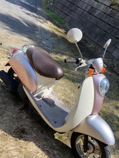 クレアスクーピー　AF55  ピンク