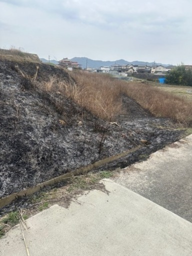 畑　貸し出し　東広島西条駅裏