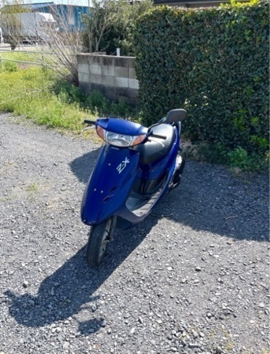 770. 動画あり　ホンダ　ライブディオZX仕様　綺麗　原付　バイク　50cc   車体