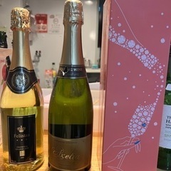 シャンパンとワイン9本 シャンパンとワイン9本