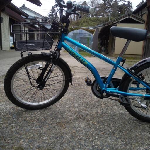 DRIDE　BEET206-L　20インチ