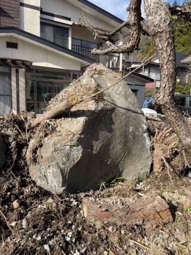 高級で貴重な庭石秋田県男鹿産 男鹿石