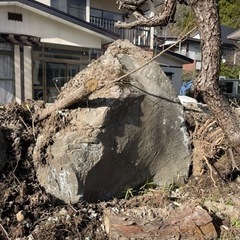 高級で貴重な庭石秋田県男鹿産 男鹿石
