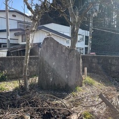 高級で貴重な庭石秋田県男鹿産 男鹿石