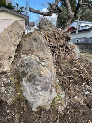 高級で貴重な庭石秋田県男鹿産 男鹿石
