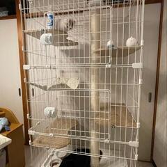 【美品使用1ヶ月】猫 ケージ ゲージ 3段 キャットタワー