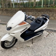 マジェスティ250【211】