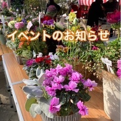 4/7小名浜諏訪神社花市