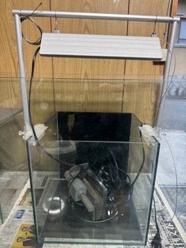家具 収納家具 棚、シェルフ