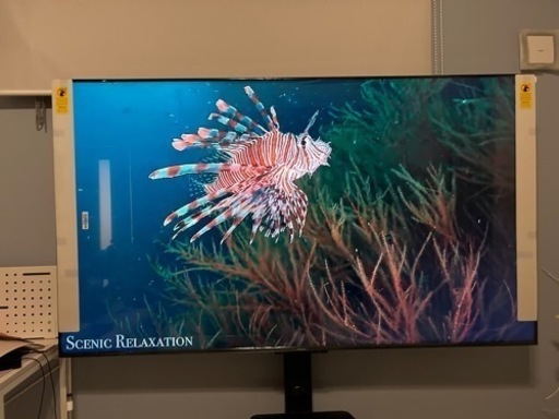 75インチ　テレビ買い取りお願いします。
