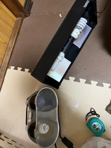 爬虫類用品1式セット