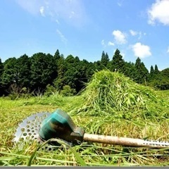 草刈りいたします！の画像