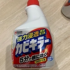 【カビキラー11本セットの値段】生活雑貨 掃除用具 洗剤