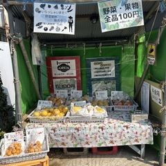 【お得◎果物野菜100円〜！】本庄産　果物　野菜　無農薬　販売　...