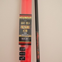 鮎ロッド DAIWA 銀影 MT大鮎