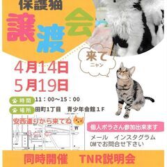 保護猫譲渡会・TNR相談会in静岡市葵区 2024/4/14（日）