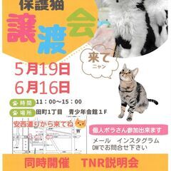 保護猫譲渡会・TNR相談会in静岡市葵区 2024/5/19（日）