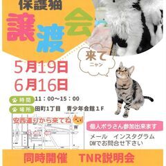保護猫譲渡会・TNR相談会in静岡市葵区 2024/6/16（日）