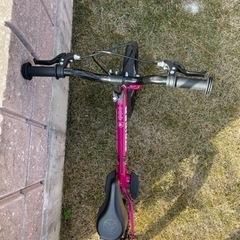 ストライダー 日本正規品