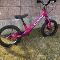 ストライダー 日本正規品