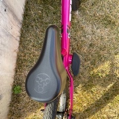 ストライダー 日本正規品