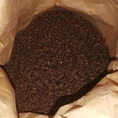 春のいぶき　蕎麦　種　播種用