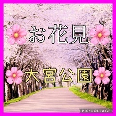 😊🌸急募🌸😊残り6名4/6土11:00✨お花見&ボードゲーム✨