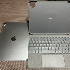 【別売り可】iPad Pro 11 第一世代　256GB Cel...