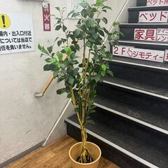 フェイクグリーン 造花 ニトリ フィカス 150cm インテリア...