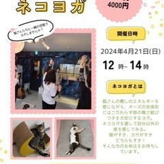 4/21(日) ネコヨガ@阿佐ヶ谷の保護猫カフェの画像